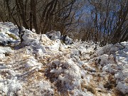 71 Neve con i colori delle foglioline cadute